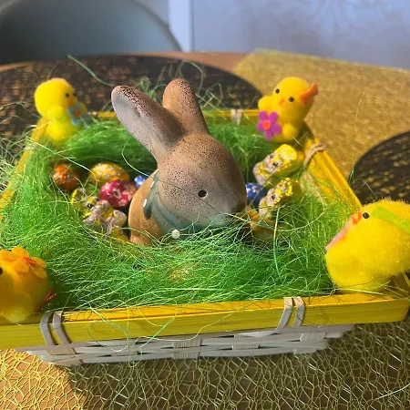 Colombages De La Lauch コルマール