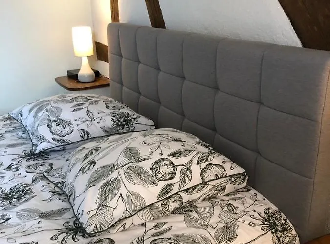 Colombages De La Lauch 科尔马