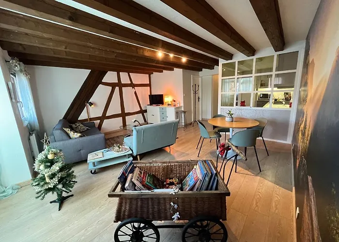 公寓 Colombages De La Lauch 科尔马